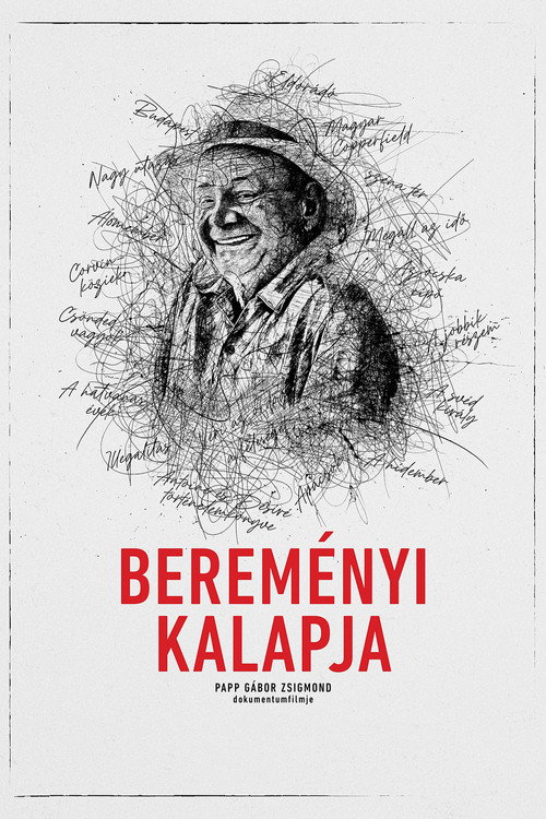 Movie poster for Bereményi kalapja (2022)