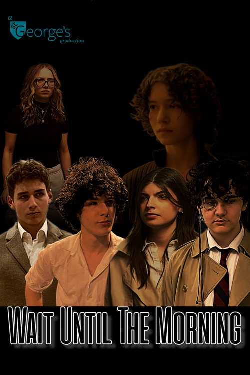 Movie poster for Wait Until the Morning (2024)