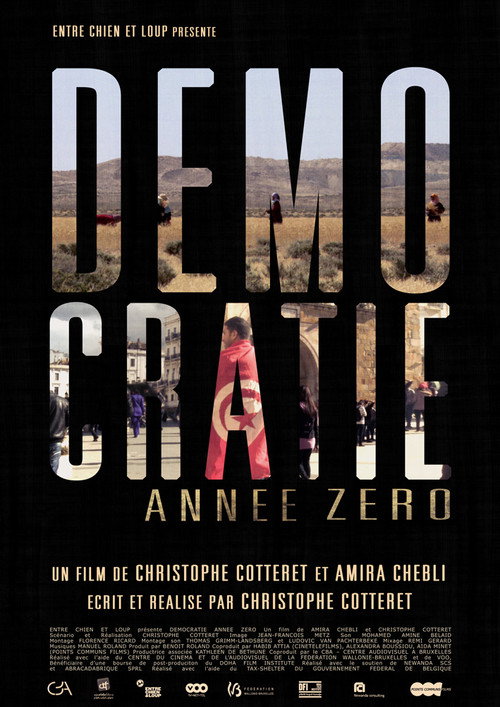 Movie poster for Démocratie Année Zéro (2014)