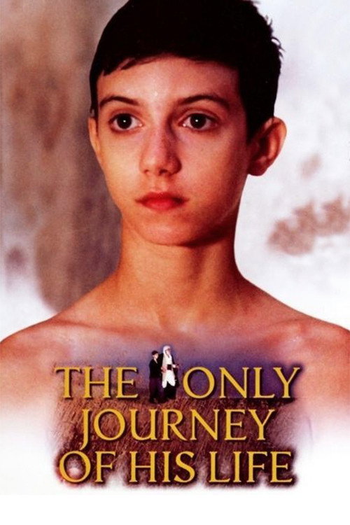 Movie poster for The Only Journey of His Life (2001)