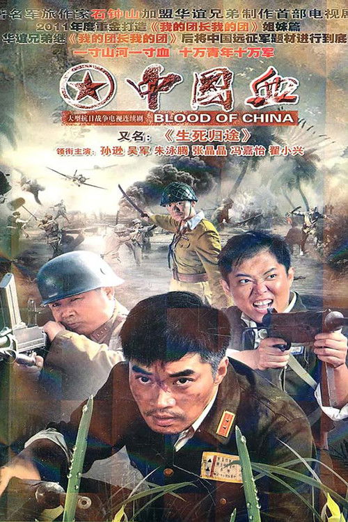生死归途 poster