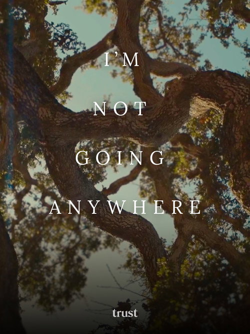 Movie poster for I'm Not Going Anywhere (2025)