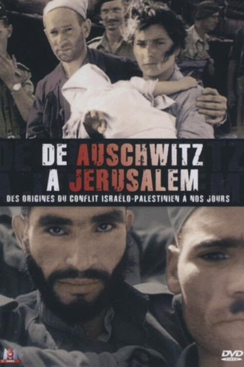Movie poster for De Auschwitz à Jérusalem (2008)