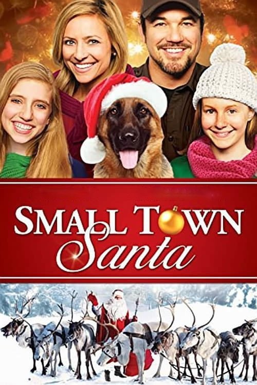 Movie poster for Small Town Santa (2014)