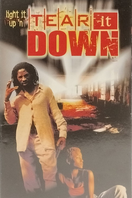 Movie poster for Tear It Down (1999)