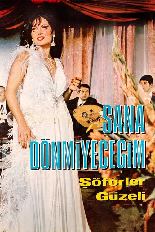 Movie poster for Sana Dönmeyeceğim (1969)