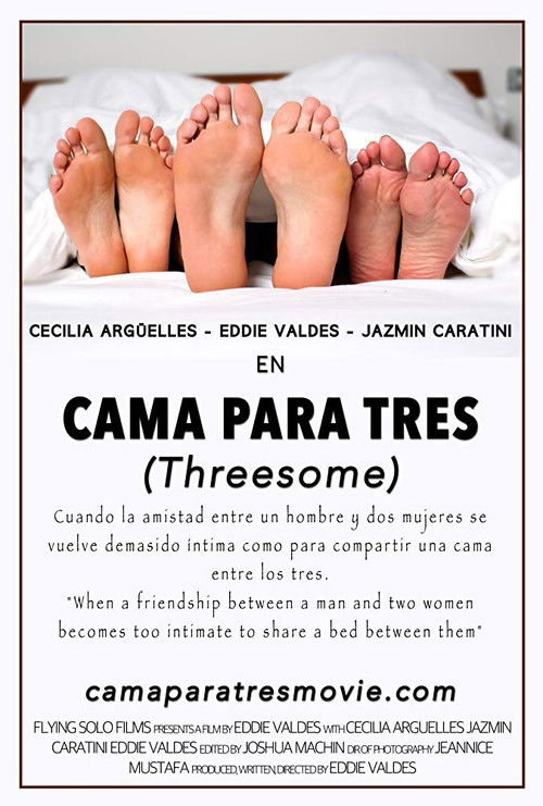 Movie poster for Threesome (2015)