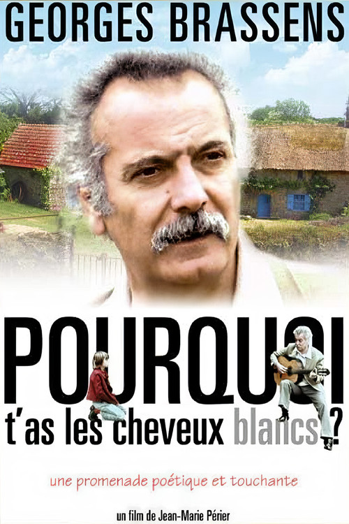 Movie poster for Pourquoi t'as les cheveux blancs... (1973)
