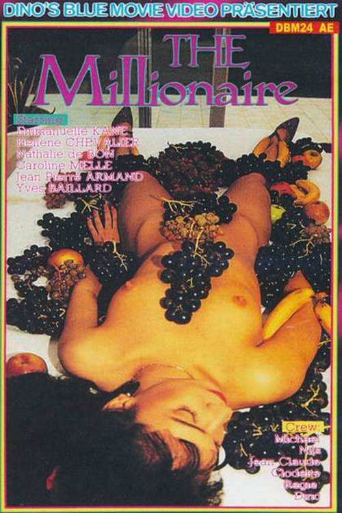 Movie poster for The Millionaire (1990)