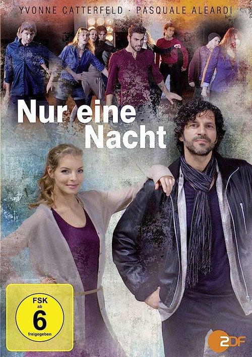 Movie poster for Nur eine Nacht (2013)