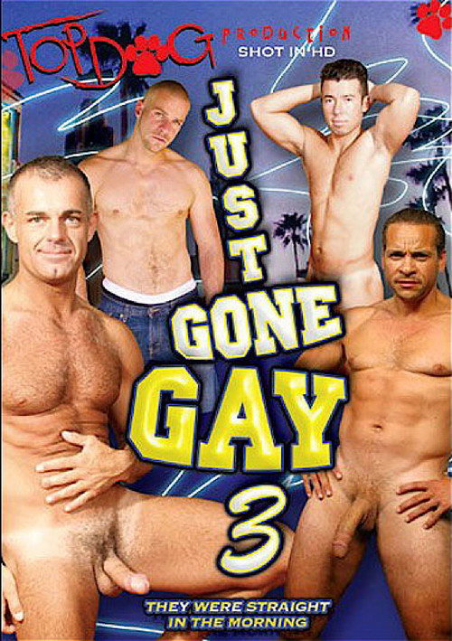 Movie poster for Just Gone Gay 3 (2008)
