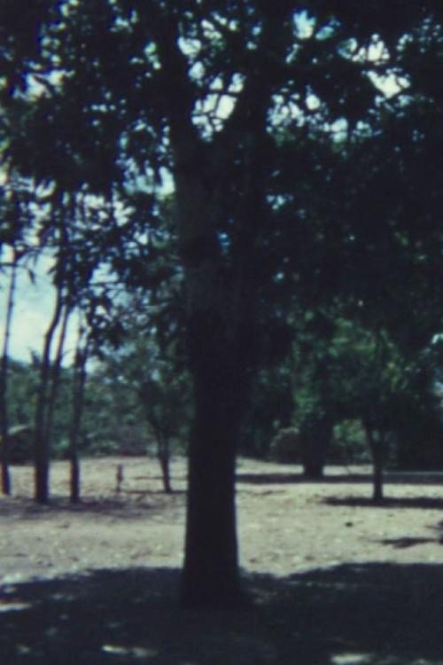 Movie poster for Mussa: A Makonde Village