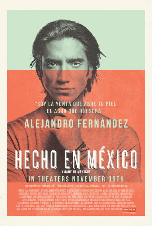 Movie poster for Made in Mexico (2012)
