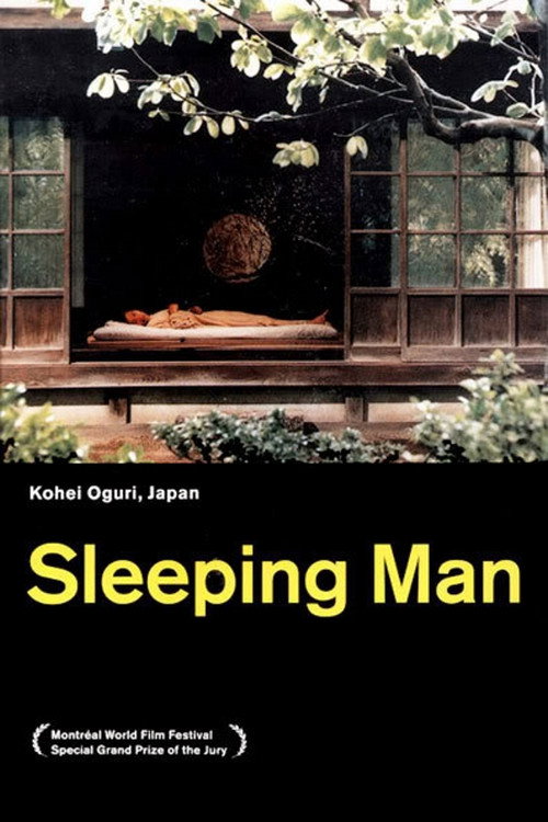 Movie poster for Sleeping Man (1996)