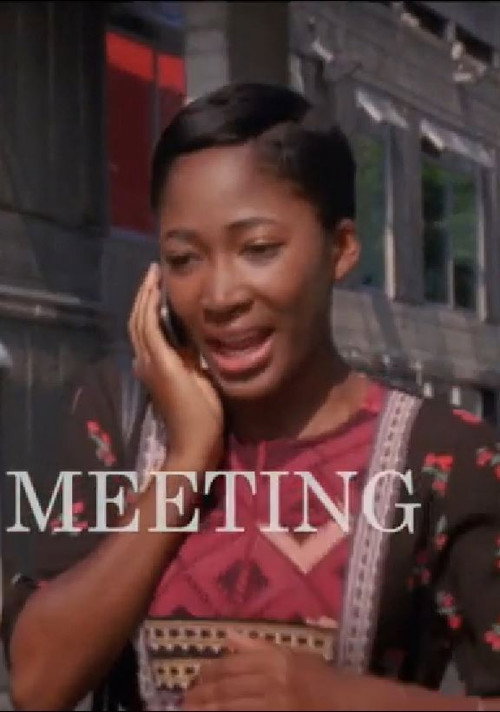 Movie poster for Chance Meeting (2013)