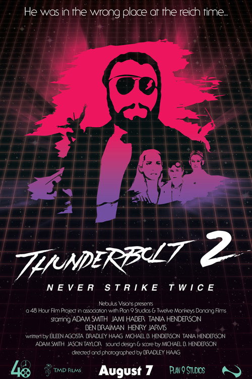 Movie poster for Thunderbolt 2: Never Strike Twice (2016)