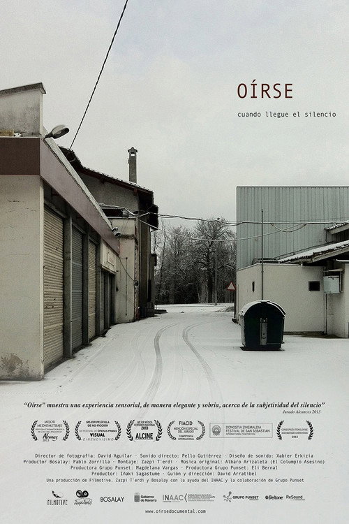 Movie poster for The Sound Inside (2013)