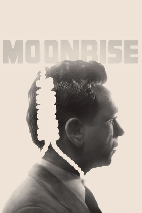 Movie poster for Moonrise (1948)