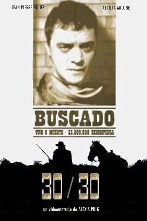 Movie poster for 30/30 (2001)
