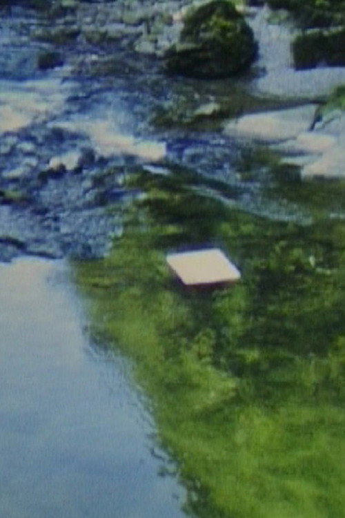 Movie poster for Paper in River (1980)
