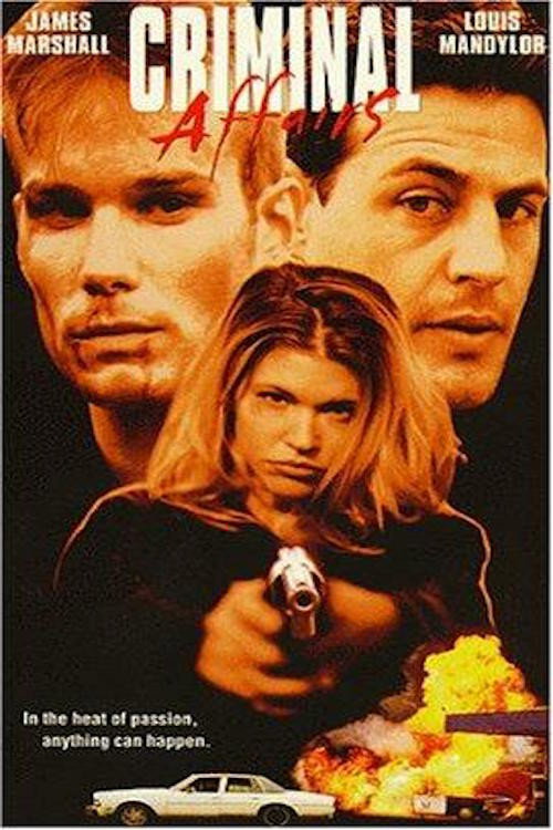 Movie poster for Criminal Affairs (1998)
