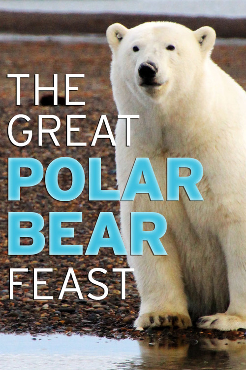 Movie poster for The Great Polar Bear Feast (2015)