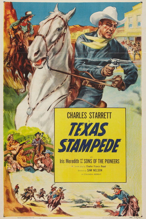 Movie poster for Texas Stampede (1939)