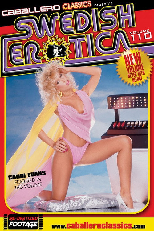 Movie poster for Swedish Erotica 110 (2007)