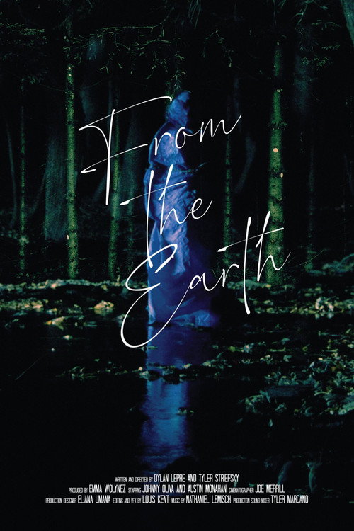 Movie poster for From the Earth