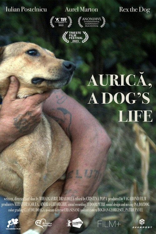 Movie poster for Aurica, a Dog's Life (2022)