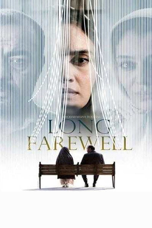 Movie poster for The Long Farewell (2015)