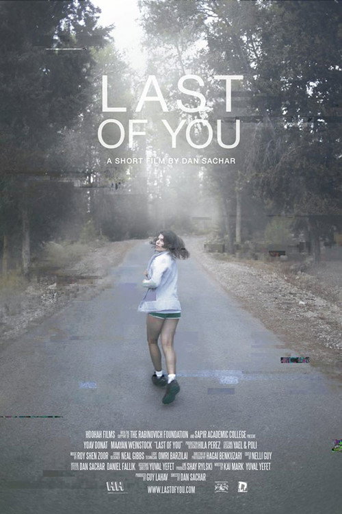Movie poster for Last of You (2013)