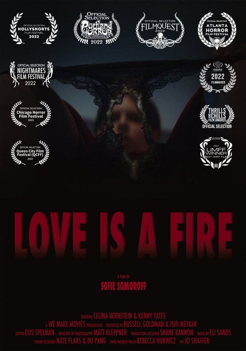 Movie poster for Love is a Fire (2022)
