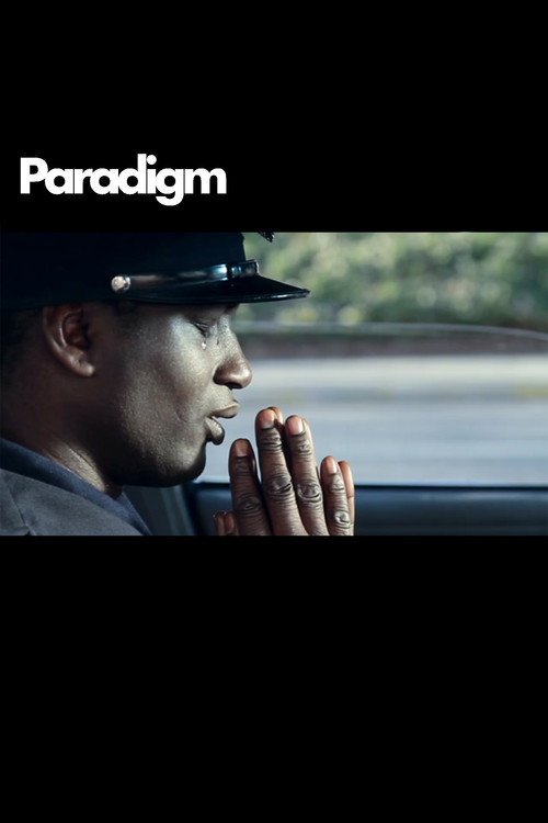 Movie poster for Paradigm (2013)