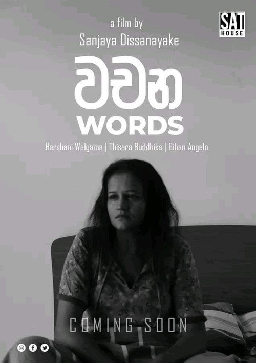 Movie poster for Words (2024)