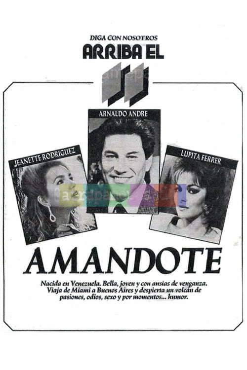 Amándote poster
