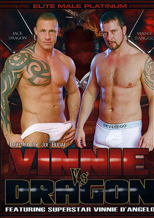 Movie poster for Vinnie Vs. Dragon (2011)