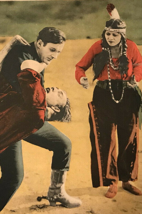 Movie poster for Riders of the Plains (1924)