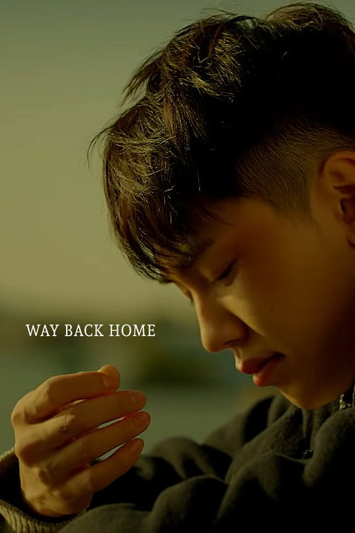 Movie poster for Way Back Home (2015)