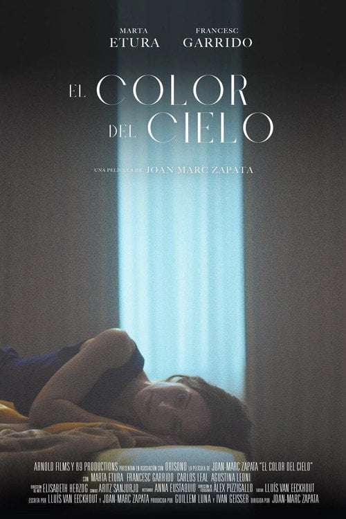 Movie poster for Color of Heaven (2022)