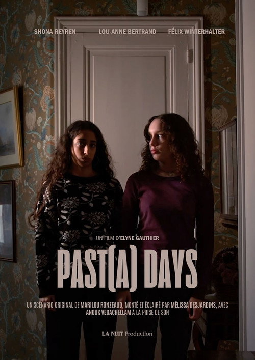 Movie poster for Past(a) Days (2024)