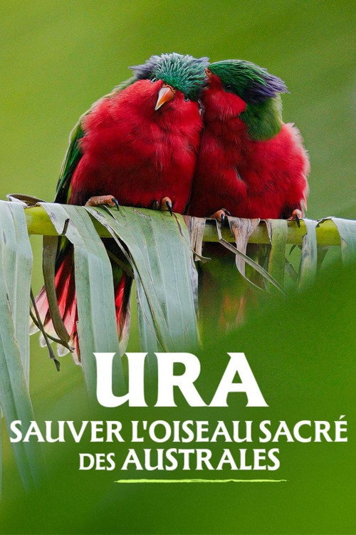 Movie poster for Ura, sauver l'oiseau sacré des australes (2024)