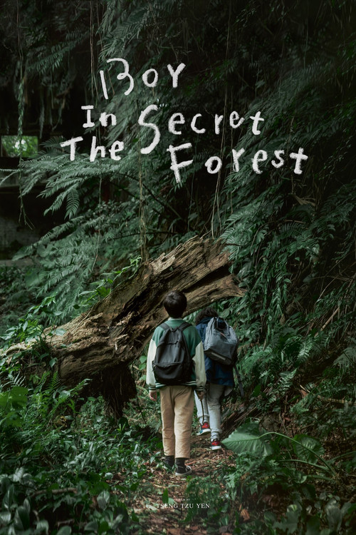 Movie poster for Boy in the Secret Forest (2024)