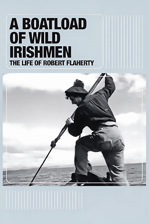 Movie poster for A Boatload of Wild Irishmen (2010)