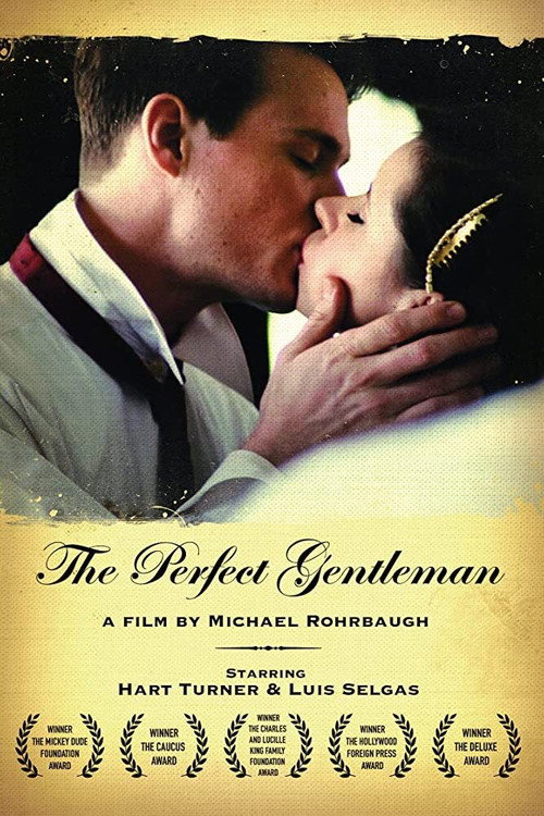 Movie poster for The Perfect Gentleman (2010)