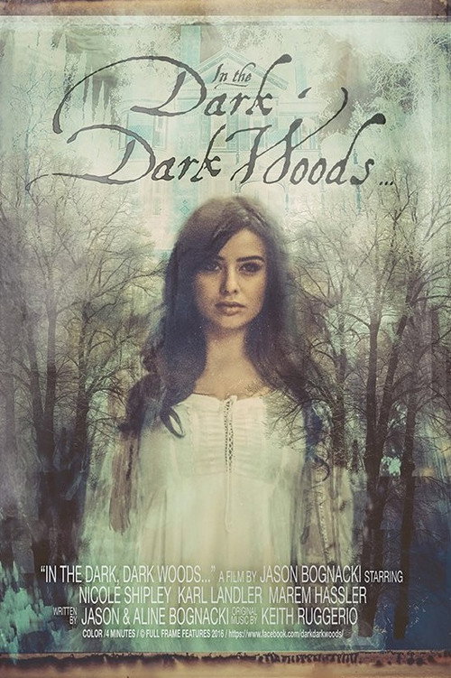 Movie poster for In the Dark, Dark Woods... (2017)