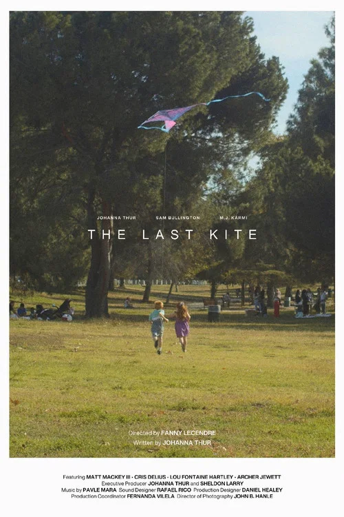 Movie poster for The Last Kite
