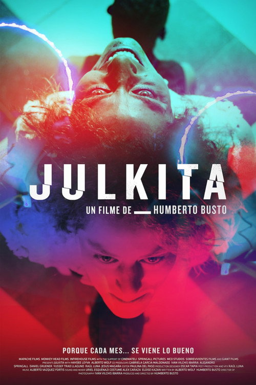 Movie poster for Julkita (2017)