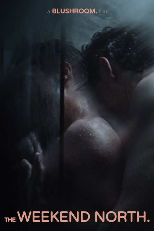 Movie poster for The Weekend North (2026)