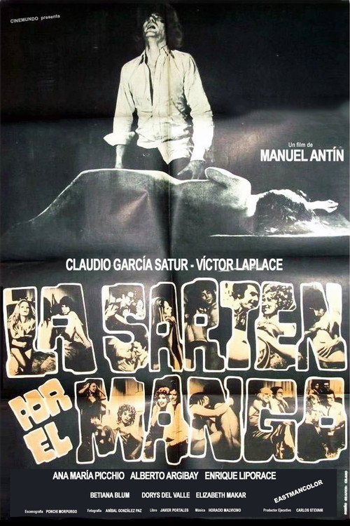 Movie poster for La sartén por el mango (1972)